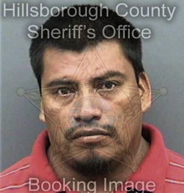 Javier Martinez, - Hillsborough County, FL 