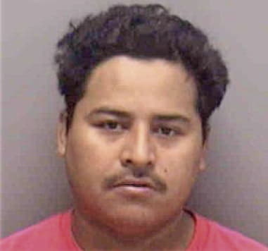 Pedro Montejo-Arcos, - Lee County, FL 