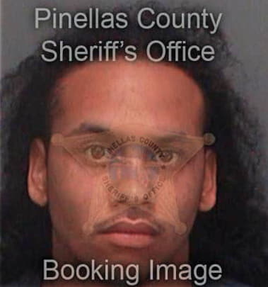 Victor Munozgalindo, - Pinellas County, FL 