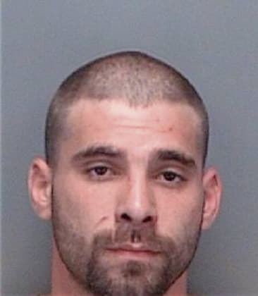 Joshua Nicoson, - Pinellas County, FL 