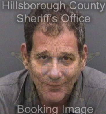 Michael Raisner, - Hillsborough County, FL 