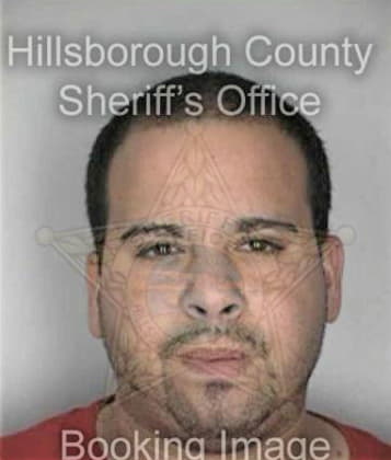 Michael Shelenberger, - Hillsborough County, FL 