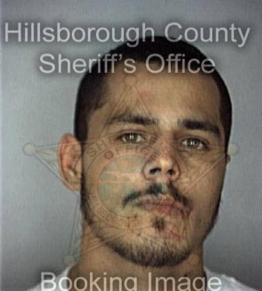 Scott Smith, - Hillsborough County, FL 