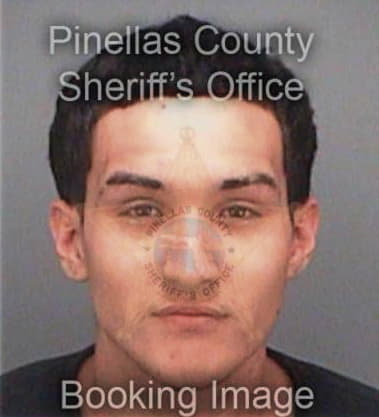 Leandro Bautista, - Pinellas County, FL 