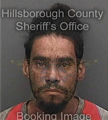 Glenn Dediego, - Hillsborough County, FL 