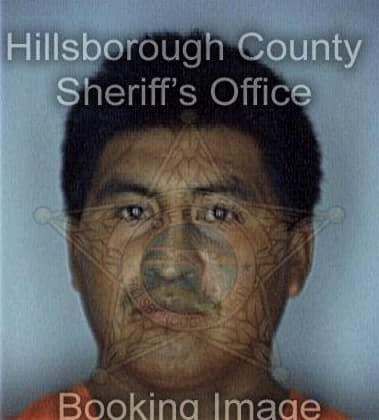 Ramon Diazsantana, - Hillsborough County, FL 