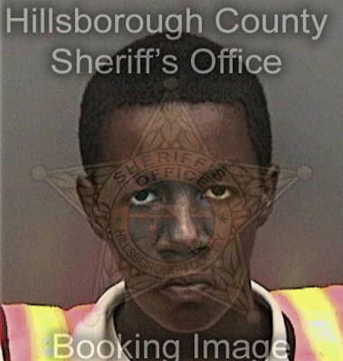 Joshua Norris, - Hillsborough County, FL 