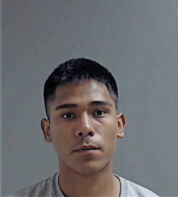 Nedio-Martinez Alaniz, - Hidalgo County, TX 