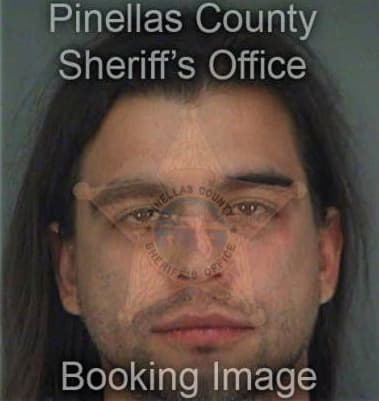 Shawn Alleman, - Pinellas County, FL 