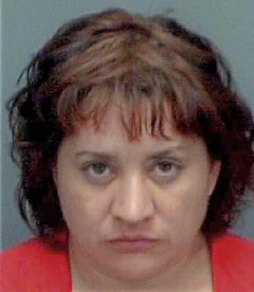 Melissa Bajraktari, - Pinellas County, FL 