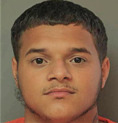 Miguel Francisco, - Polk County, FL 