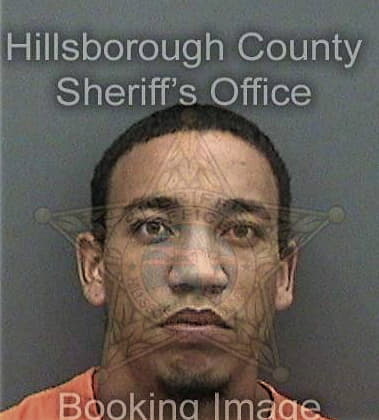 Anthony Guerci, - Hillsborough County, FL 