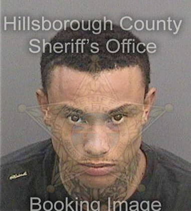 Erik Hightower, - Hillsborough County, FL 