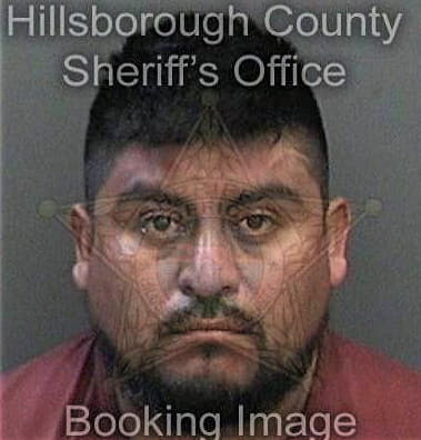 Brian Martinez, - Hillsborough County, FL 