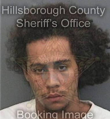 Daryl McIntosh - Hillsborough County, FL 