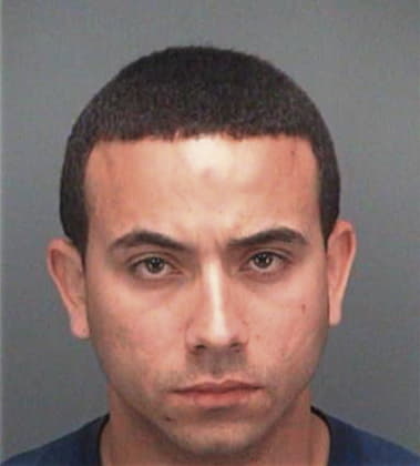 Juan Mendezpedrasa, - Pinellas County, FL 