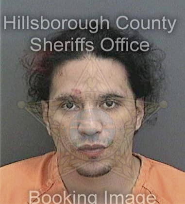 Michael Picart, - Hillsborough County, FL 