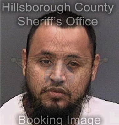 Ricardo Pulecio, - Hillsborough County, FL 