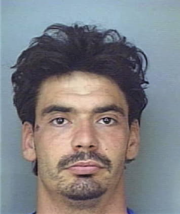 Harlan Simmons - Polk County, FL 