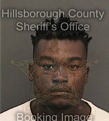 Larry White - Hillsborough County, FL 