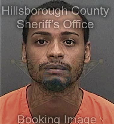 Thaddeus Anthony, - Hillsborough County, FL 