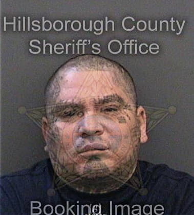 Jose Avilarobles, - Hillsborough County, FL 