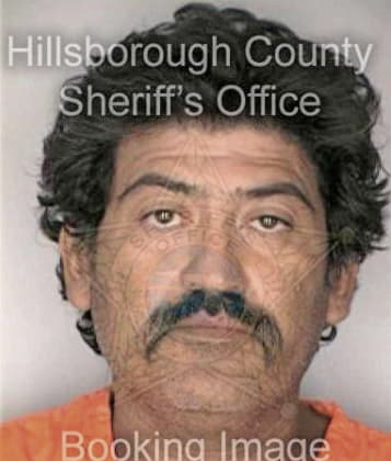 Alejandro Hernandez - Hillsborough County, FL 