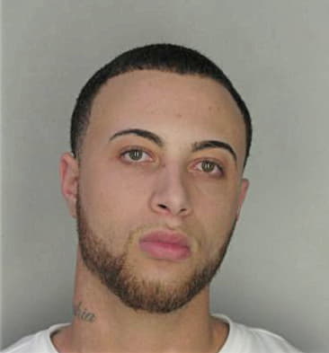 Eliel Hernandez - Hillsborough County, FL 