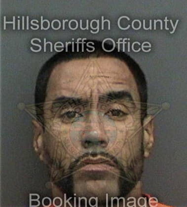 Gustavo Hernandez-Gallegos - Hillsborough County, FL 