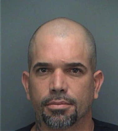 Daniel Penamunoz, - Pinellas County, FL 