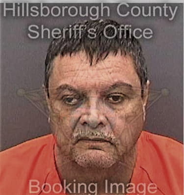 Victor Tovarhenriquez, - Hillsborough County, FL 