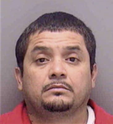 Victor Vidstez, - Lee County, FL 