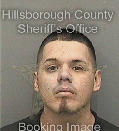 Ronner Alvarez, - Hillsborough County, FL 