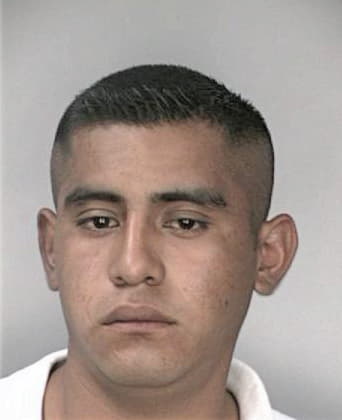 Aron Alvarezroque, - Hillsborough County, FL 