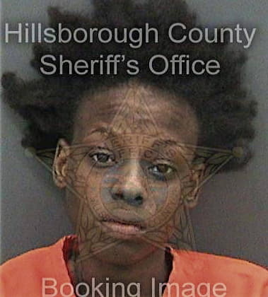 Arami Brown, - Hillsborough County, FL 