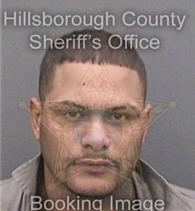 Shawn Higgins, - Hillsborough County, FL 