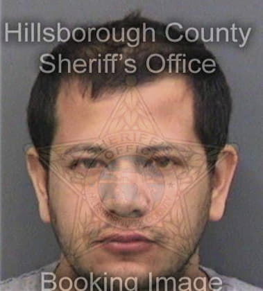 Eldon Ramos, - Hillsborough County, FL 