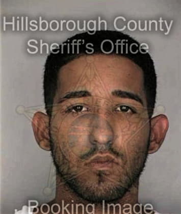 Anthony Welsh, - Hillsborough County, FL 