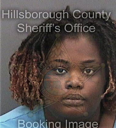 Jorian Wilkins - Hillsborough County, FL 