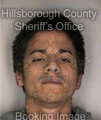 Gregory Anglero, - Hillsborough County, FL 