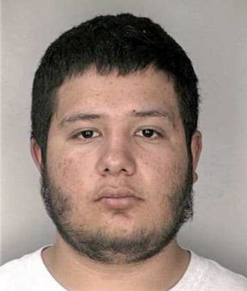 Andrew Cicilian - Hillsborough County, FL 