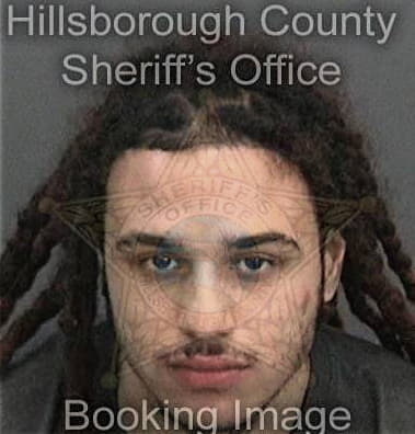 Alvaro Cuartaschang, - Hillsborough County, FL 