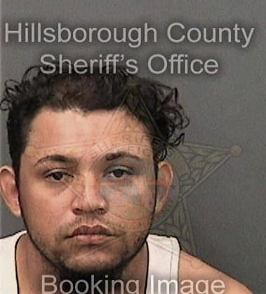 Sean Hallin, - Hillsborough County, FL 