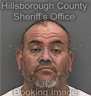 Renato Lemusgorgonia, - Hillsborough County, FL 