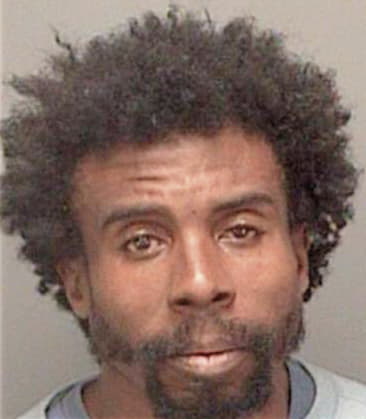 Gregory McIntyre - Pinellas County, FL 