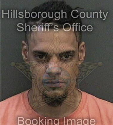 Richard Pietschmann, - Hillsborough County, FL 