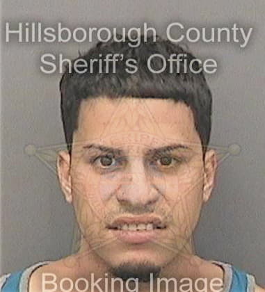 Anthony Roman, - Hillsborough County, FL 