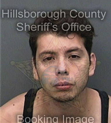 Aaron Grooms, - Hillsborough County, FL 