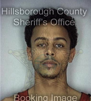 Miguel Vallejo, - Hillsborough County, FL 