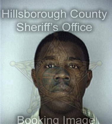 Ray White - Hillsborough County, FL 